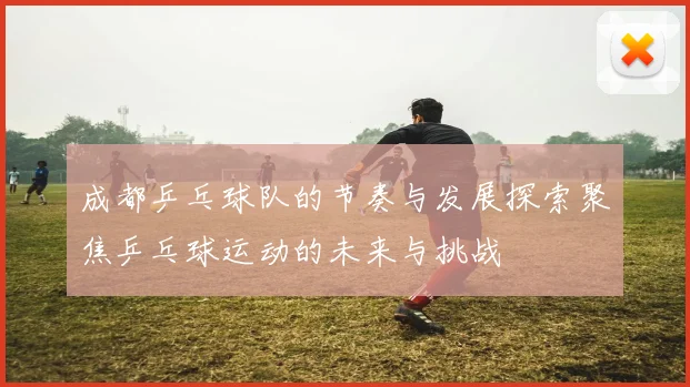 成都乒乓球队的节奏与发展探索聚焦乒乓球运动的未来与挑战